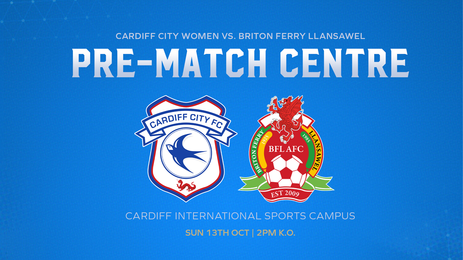 Cardiff City vs. Briton Ferry Llansawel