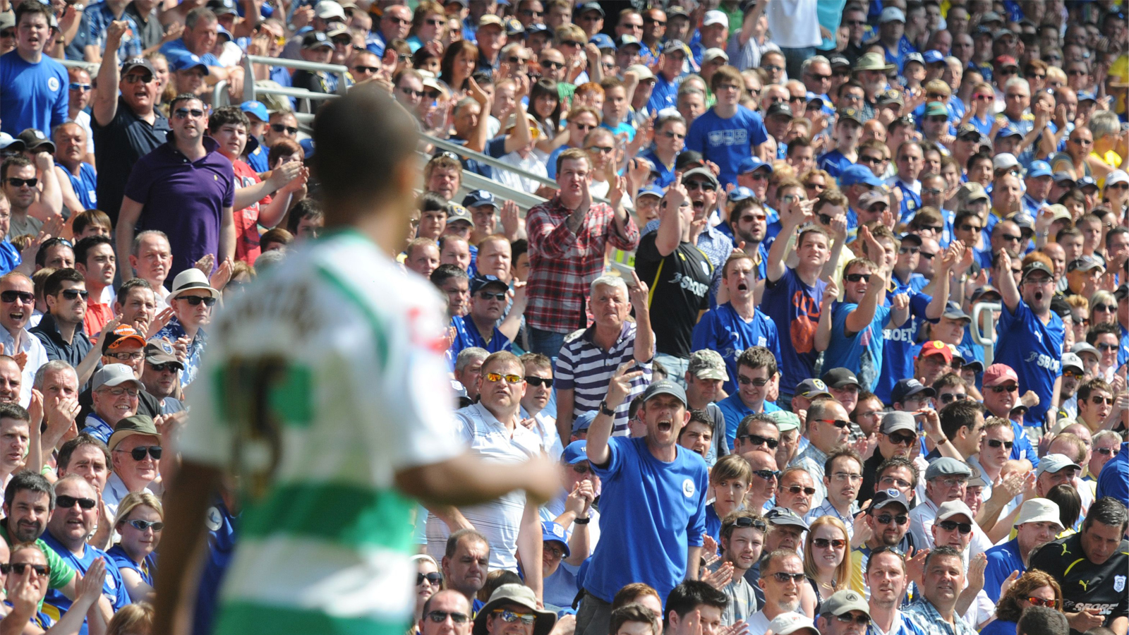 Cardiff City supporters