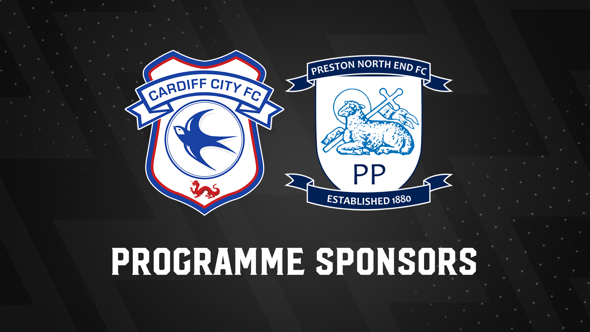 Programme Sponsors