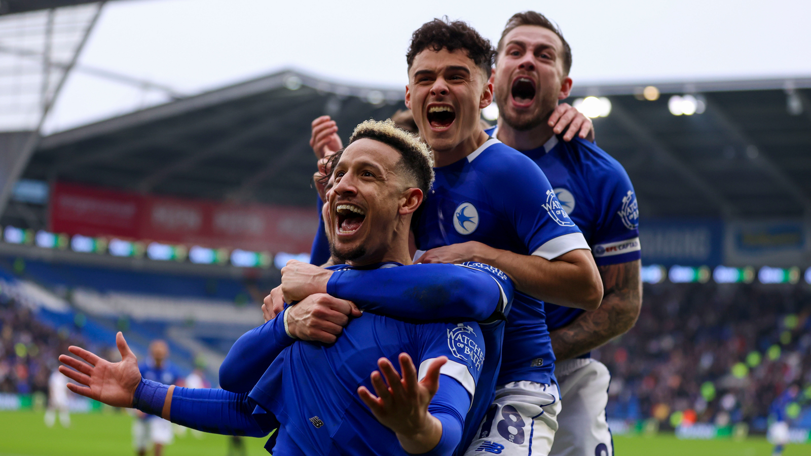 Cardiff City players