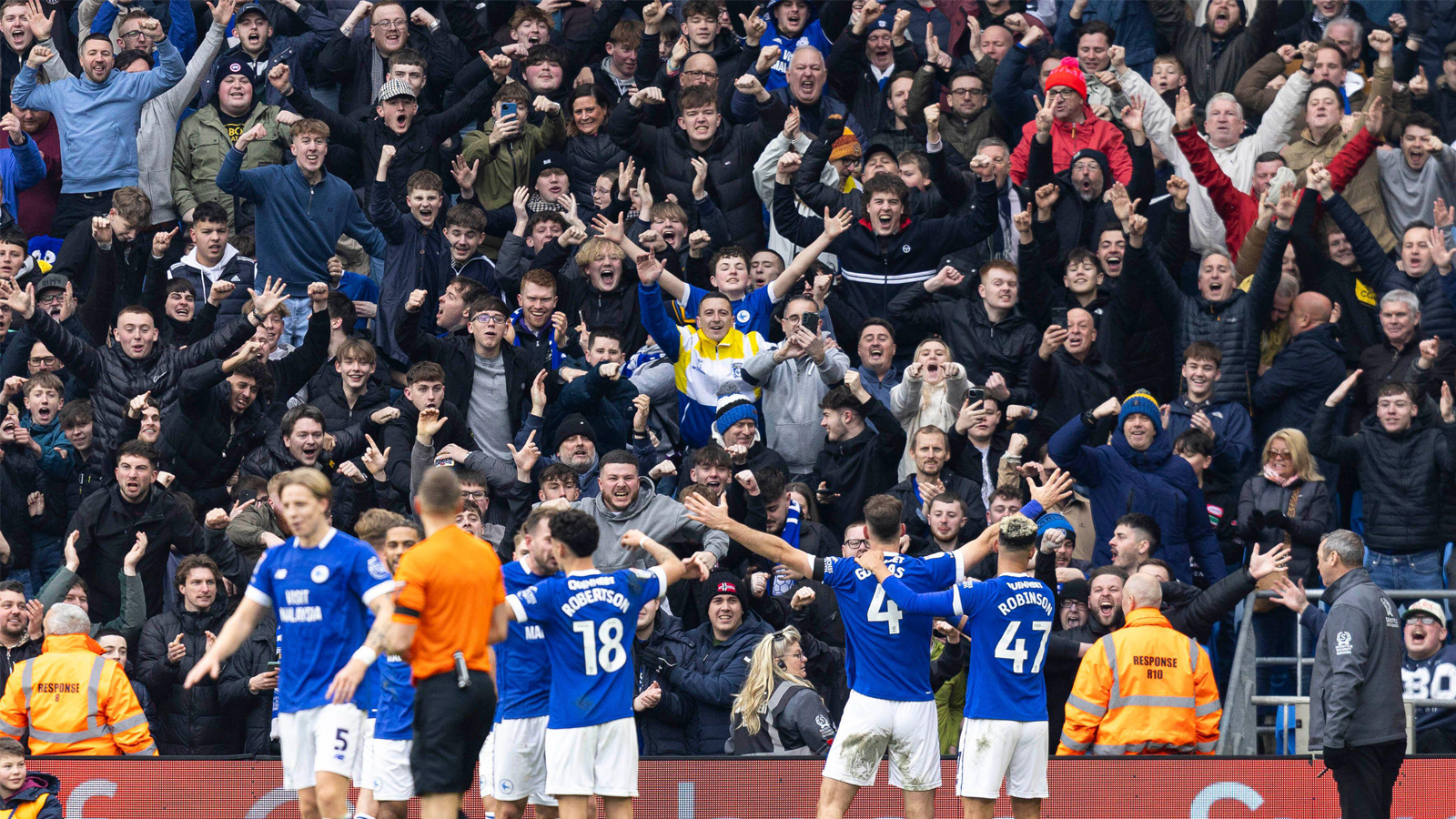 Cardiff City supporters