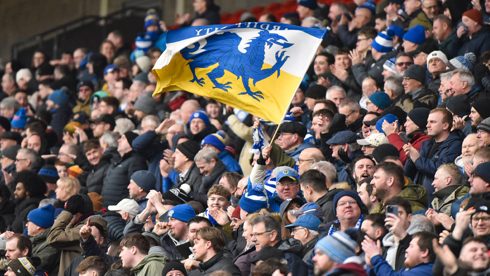 Cardiff City supporters