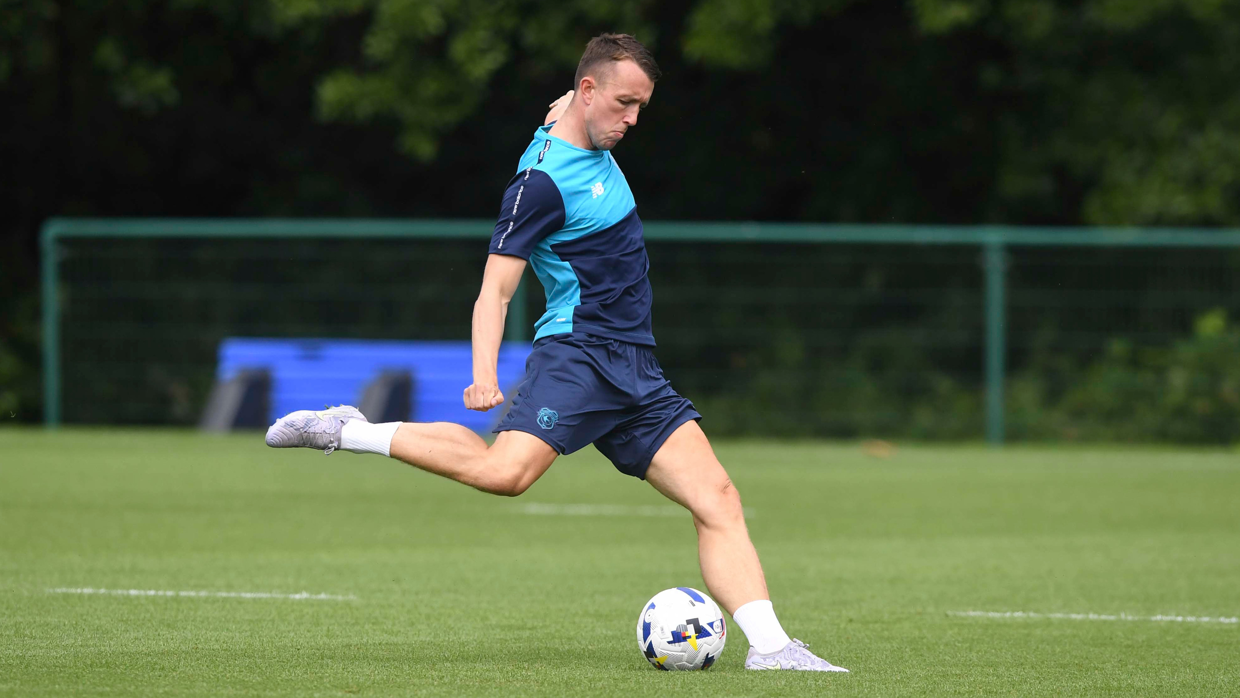 David Turnbull