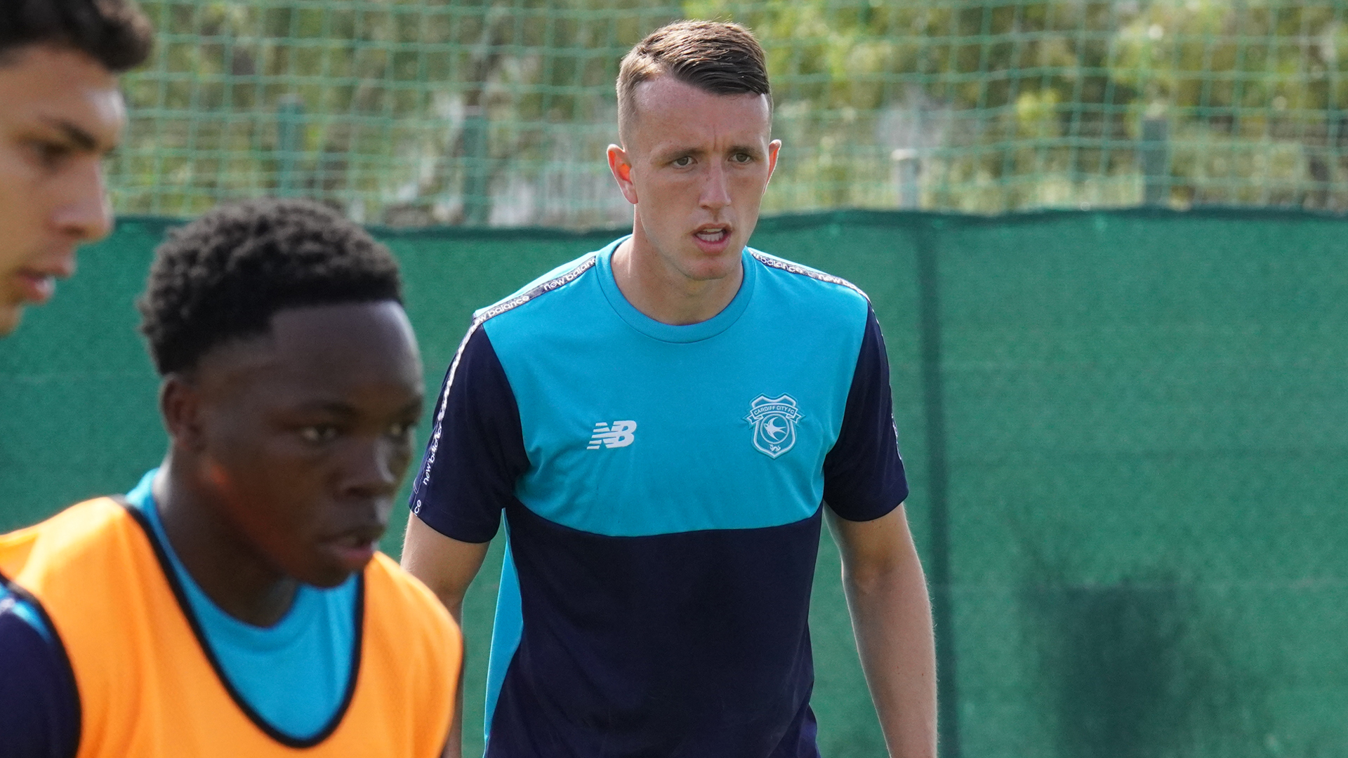 David Turnbull