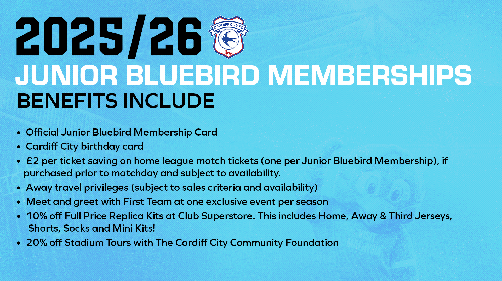 Junior Bluebirds 2025/26