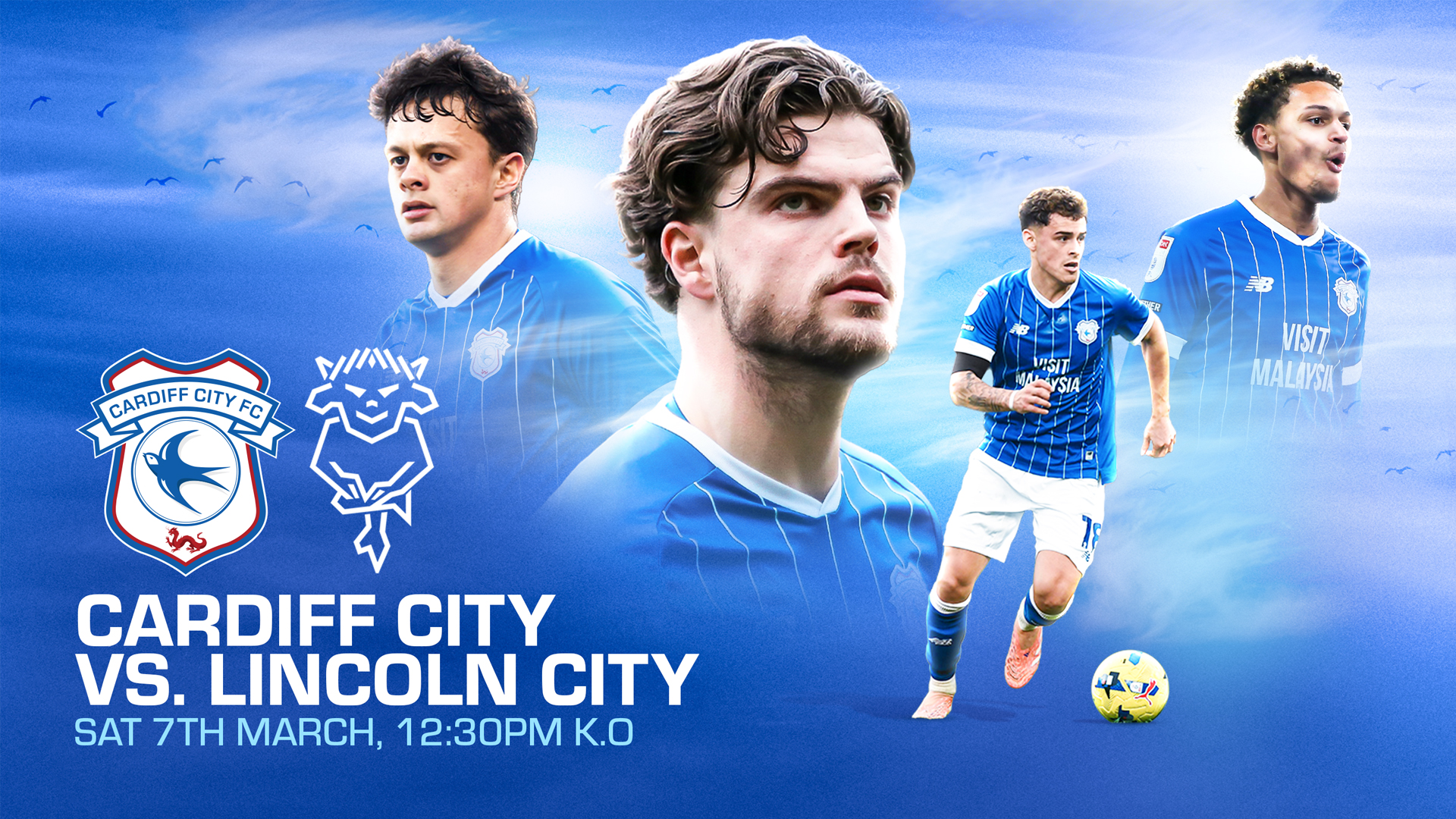 Cardiff City vs. Lincoln City