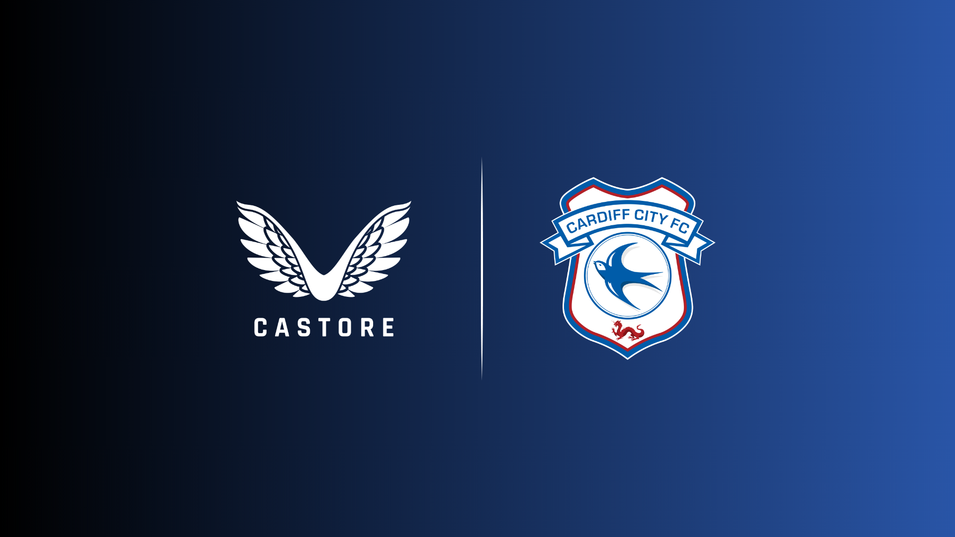Cardiff City x Castore