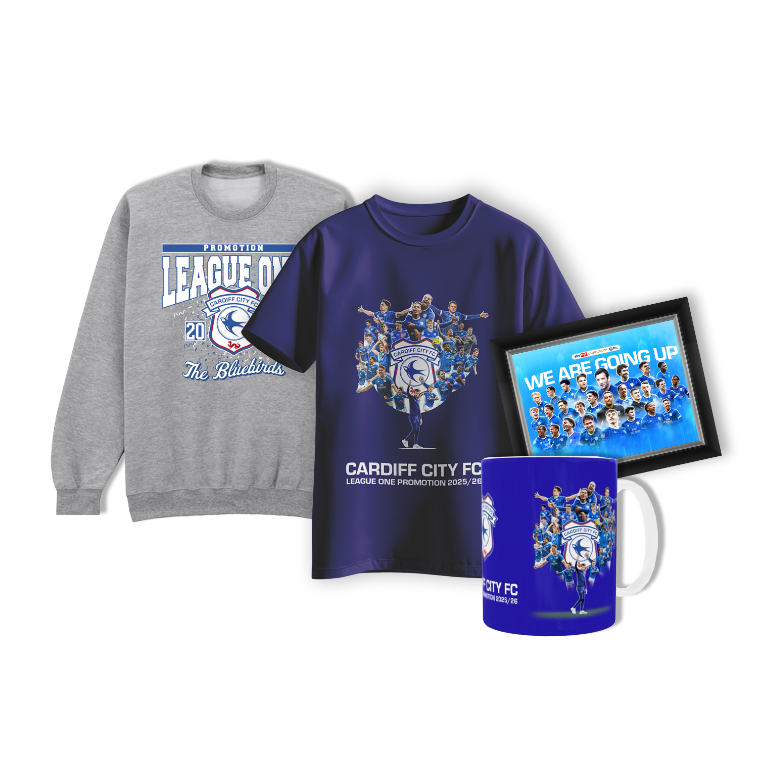Promotion range of products