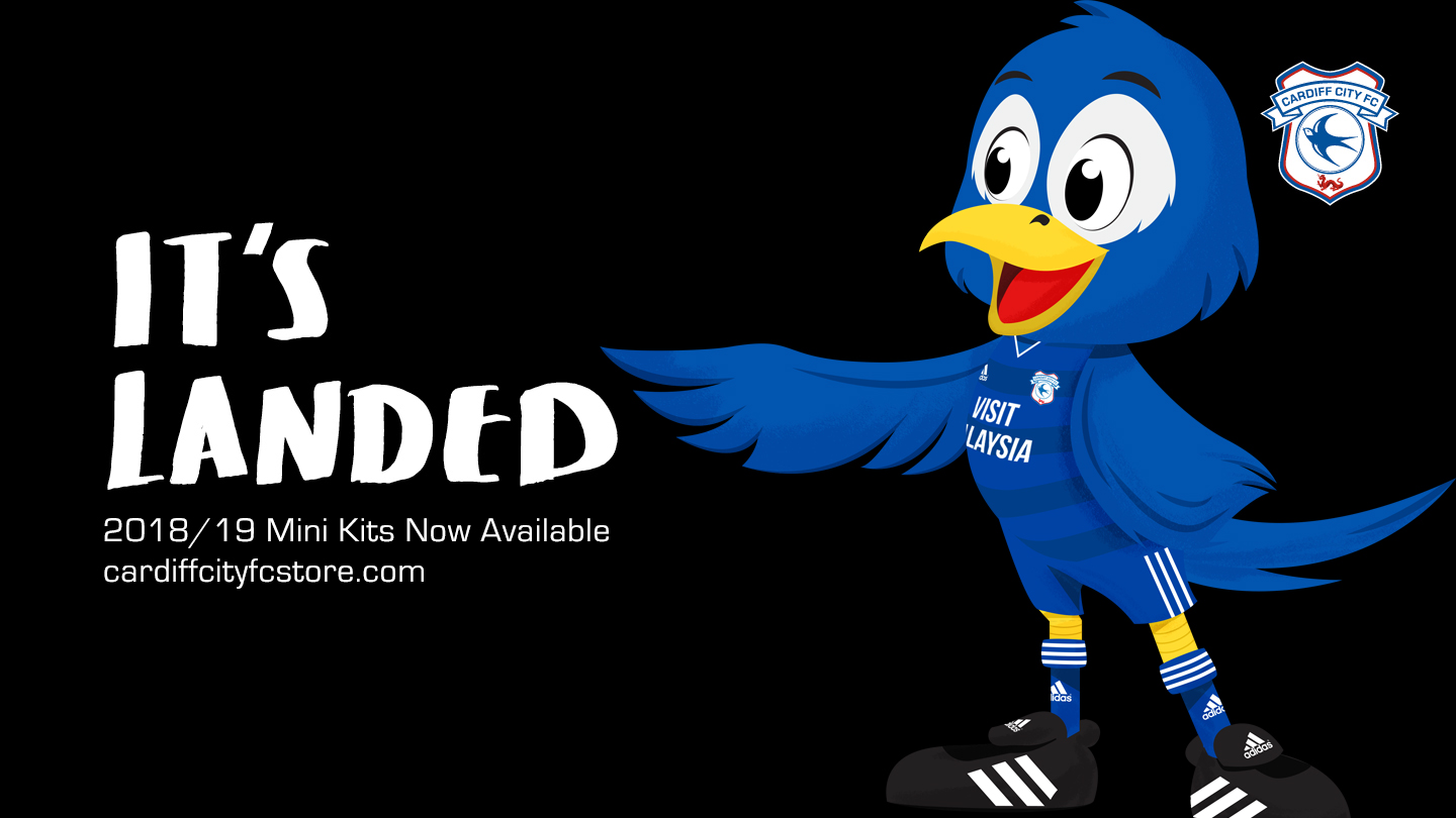 Cardiff City FC Official Mascot Package (2021/22) on Vimeo