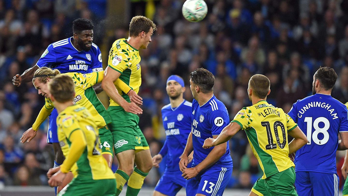 THE CITY VIEW, Cardiff City vs Norwich City