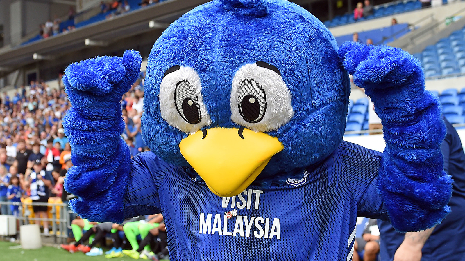 Cardiff City vs. Luton Town: Matchday Guide | Cardiff