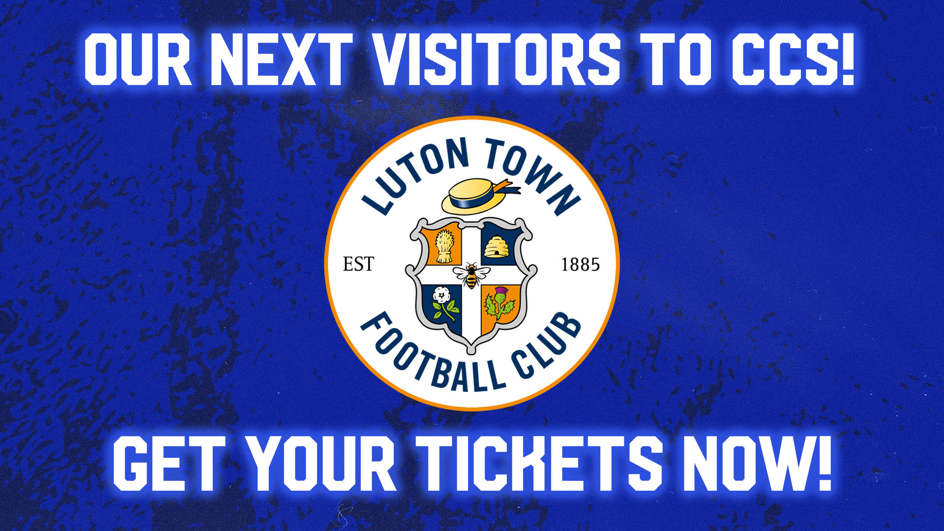 The Bluebirds host Luton Town this Tuesday night...