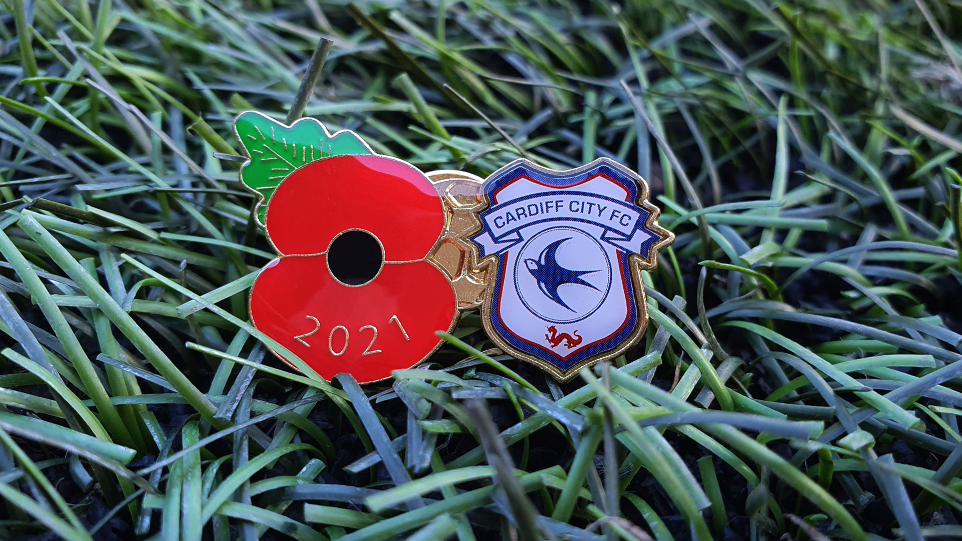 Poppy Appeal badges now available...