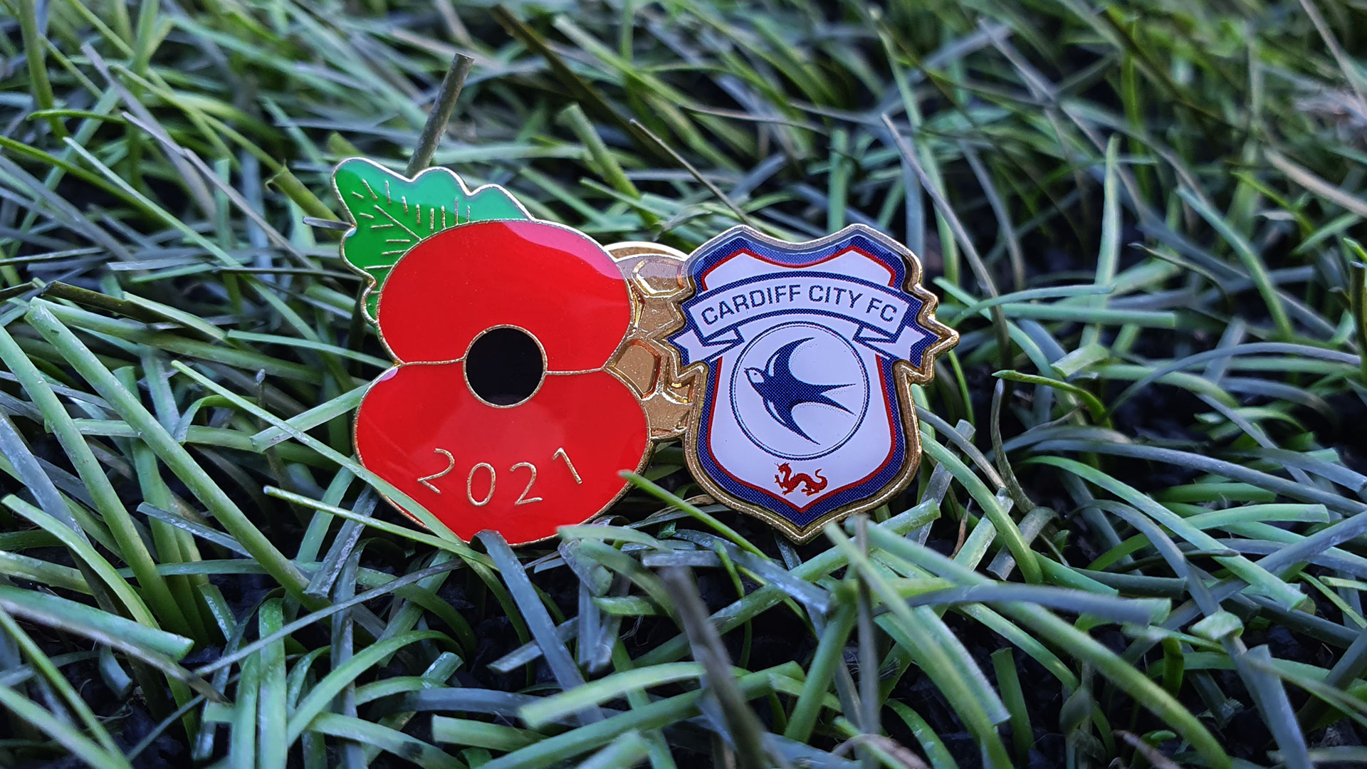 CITY PIN BADGES  We have a - Cardiff City Supporters Club