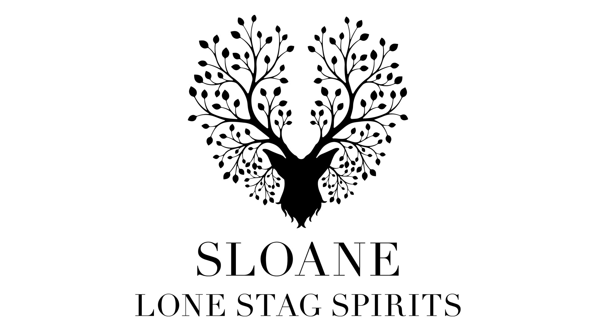 Sloane Offer