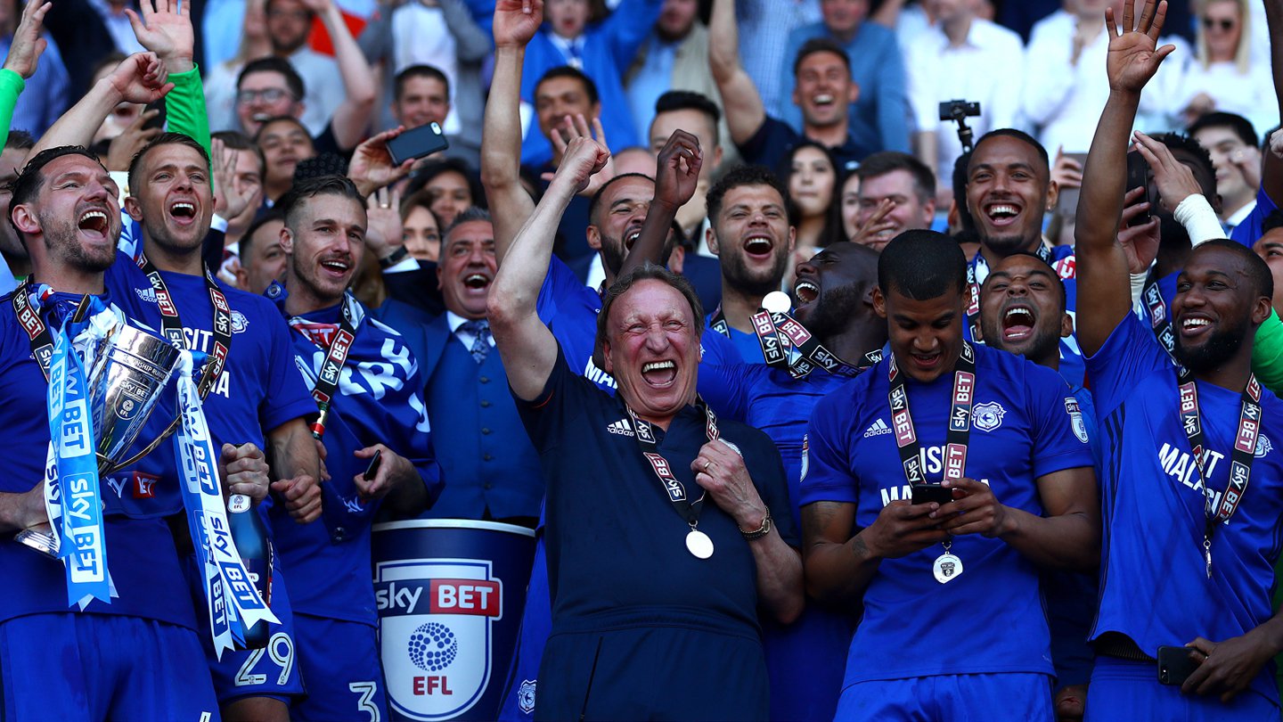 2017: CARDIFF CITY FC CHAMPIONSHIP GOALS 