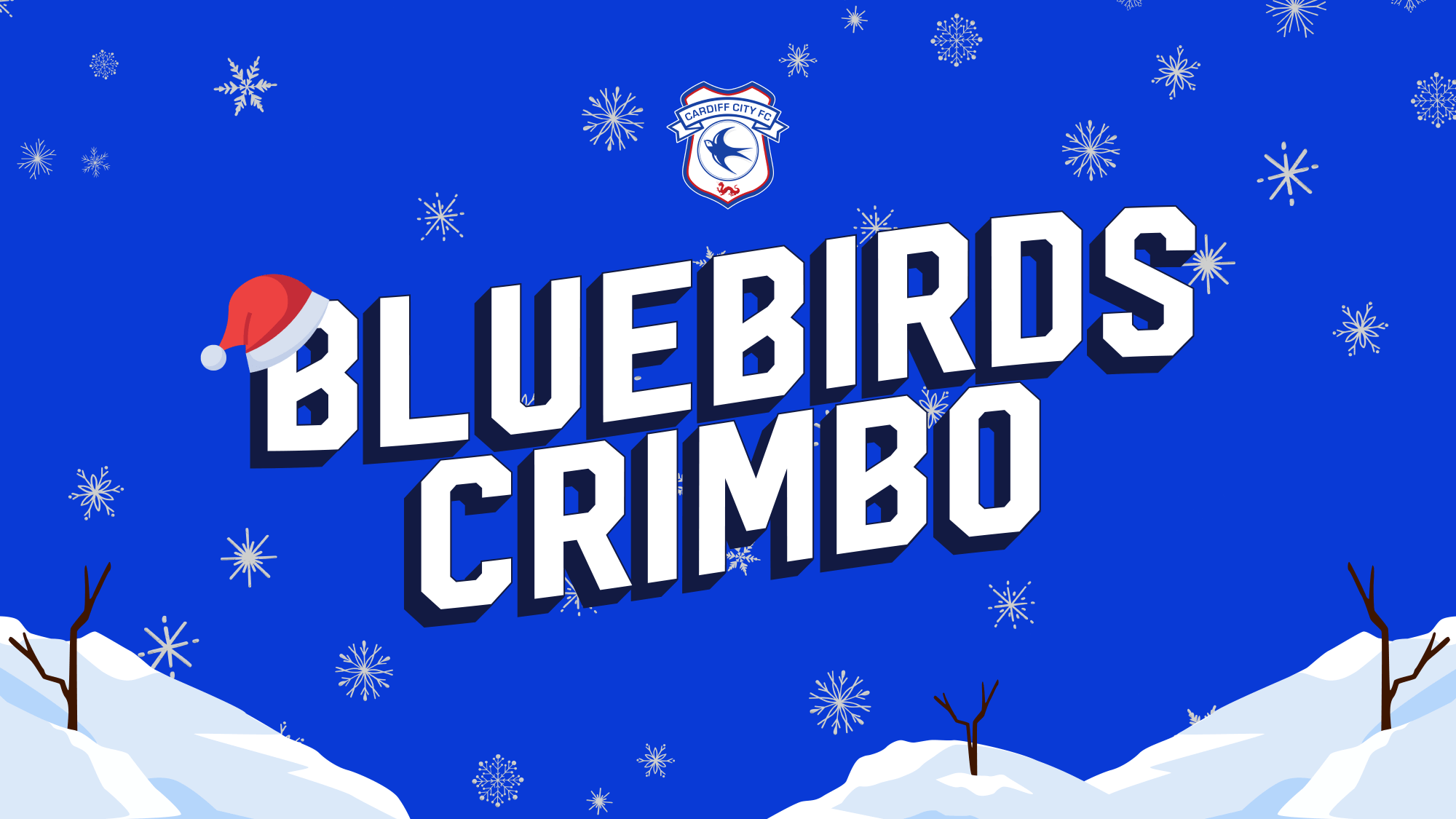 BluebirdsCrimbo 2022 Grand Prize Draw Cardiff