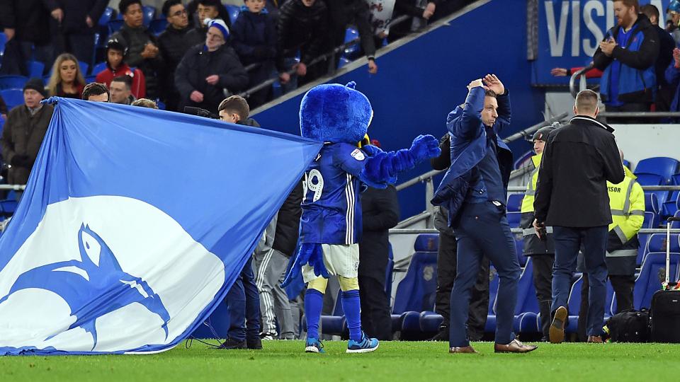 Neil Harris celebrates after City's win over Stoke...