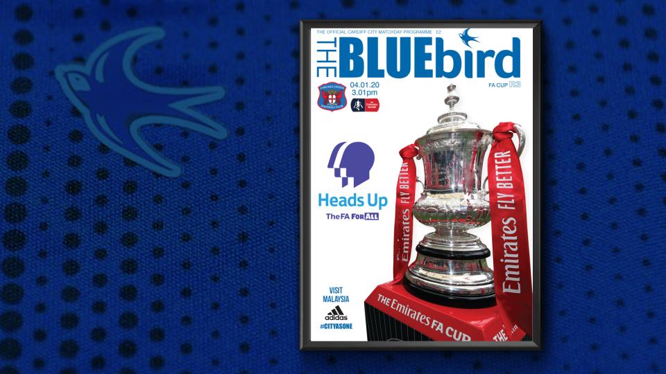 Bluebird cover carlisle