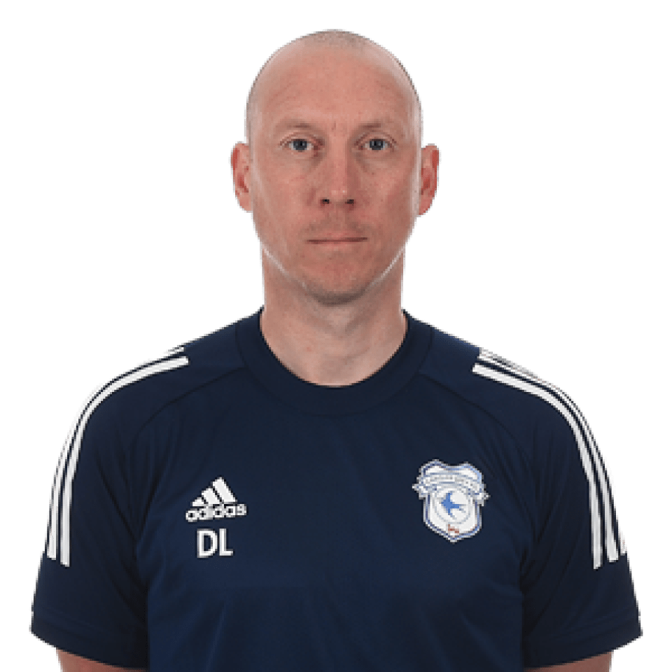 David Livermore Profile