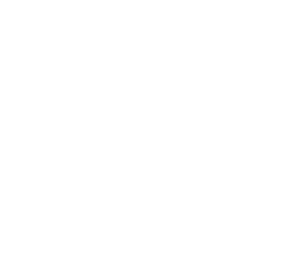Swansea City's crest