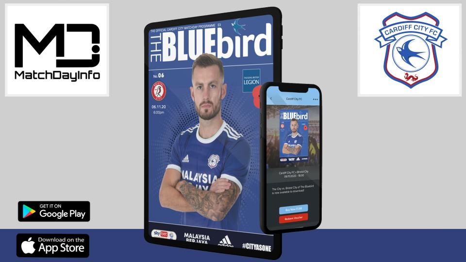 The Bluebird - Bristol City