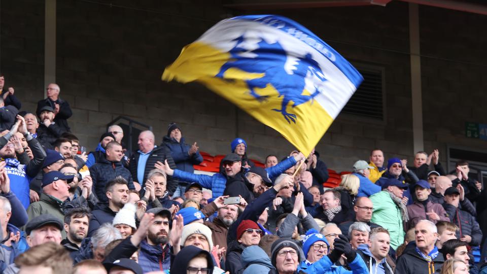Cardiff City supporters