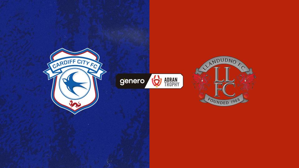 Cardiff City vs. Llandudno