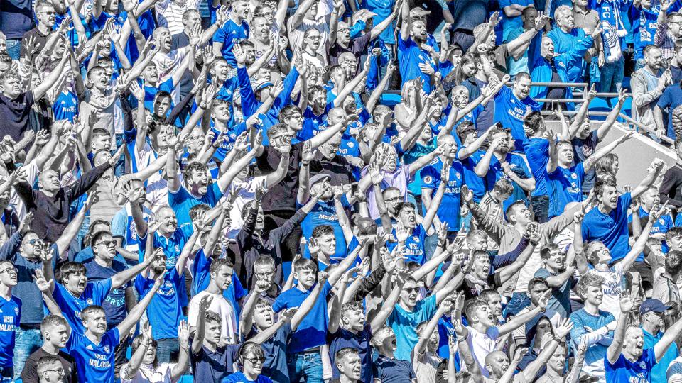 Cardiff City supporters