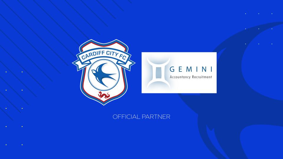 Gemini Accountancy Recruitment