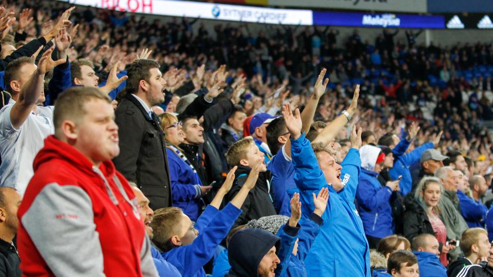 The Bluebirds celebrate the win over Bristol City...