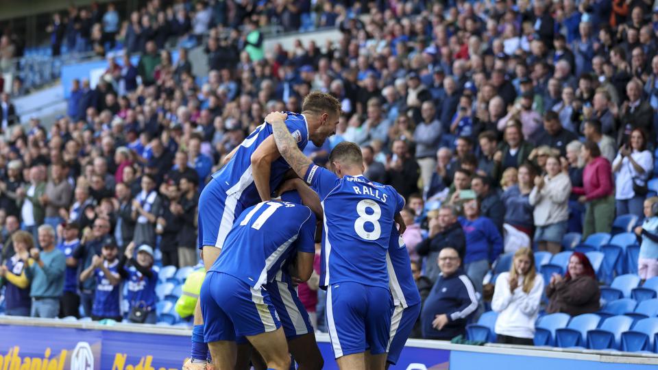 Cardiff City celebrate