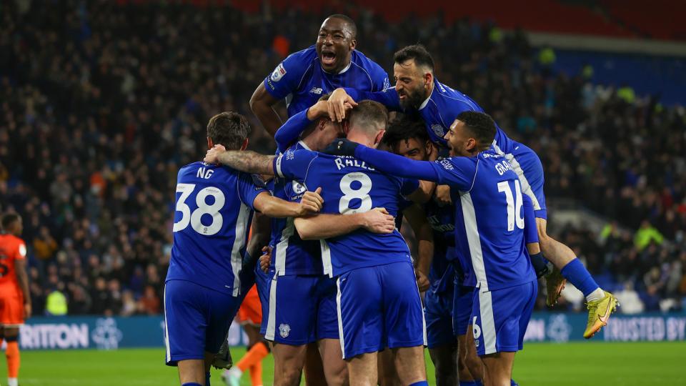 Cardiff City players