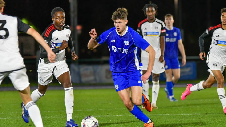 The Bluebirds in action against Fulham...