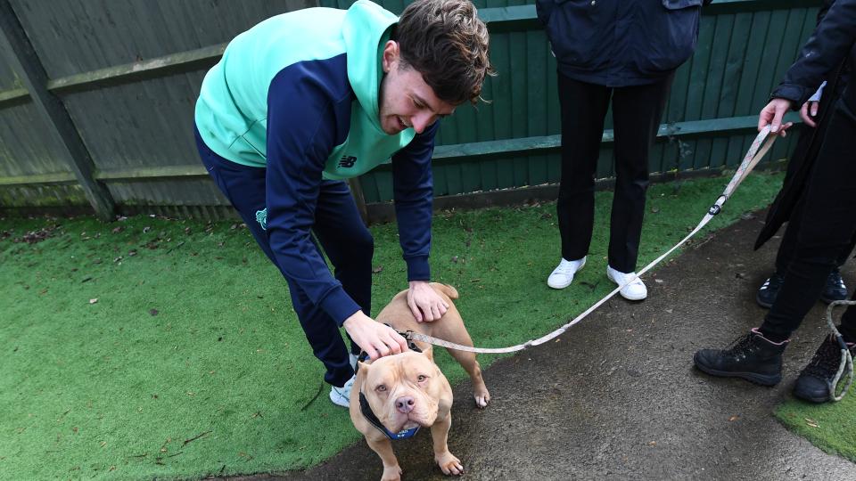Wints meet one of the amazing dogs at Cardiff Dogs Home...