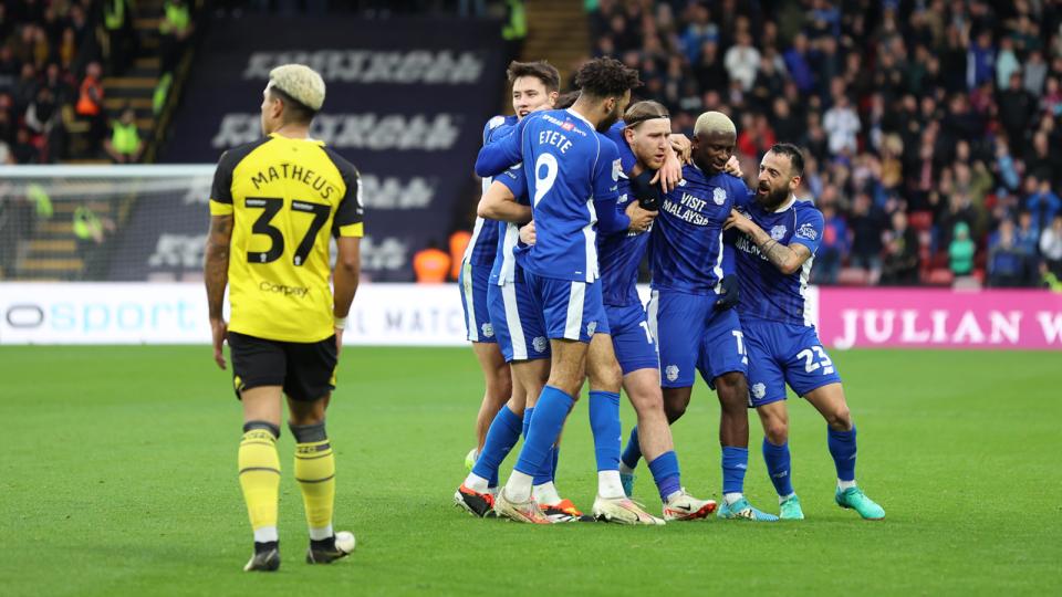 Cardiff City players