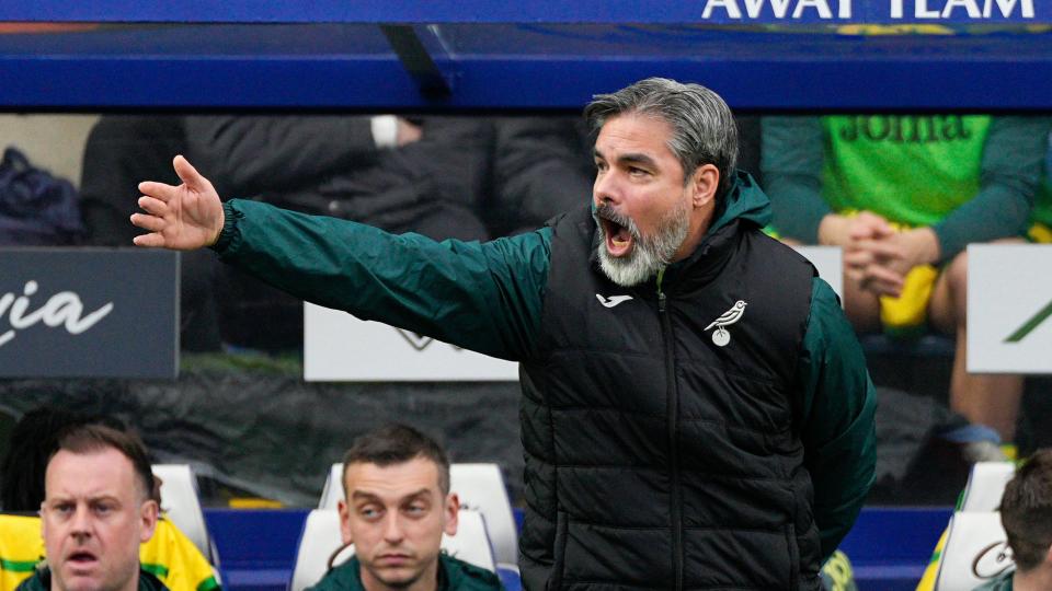 David Wagner on the touchline for Norwich City