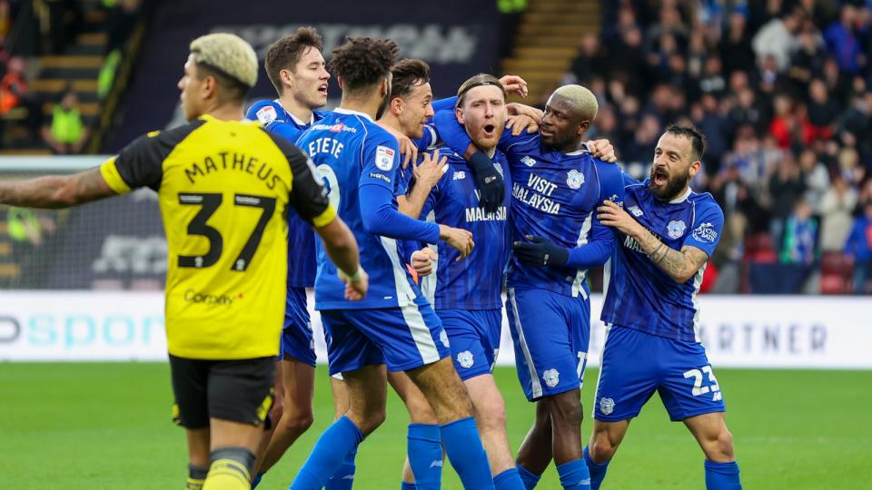 Cardiff City players