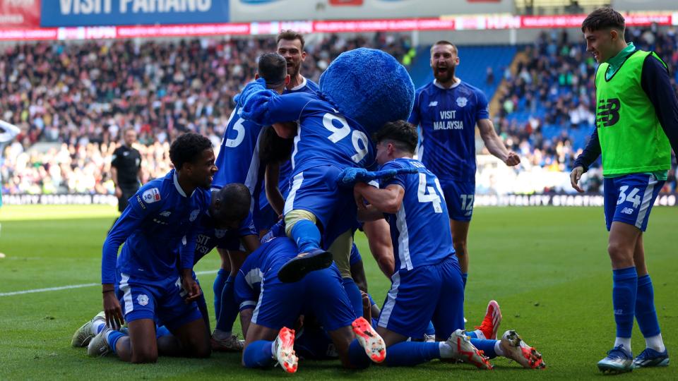 Cardiff City players