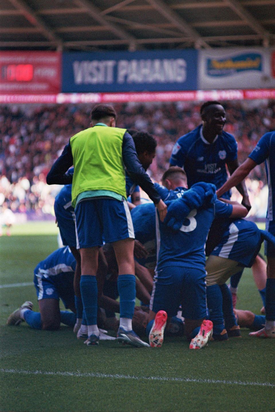Bluebirds Celebrate
