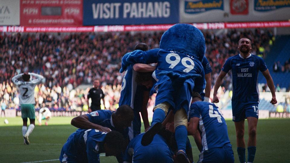 Bluebirds celebrate at CCS