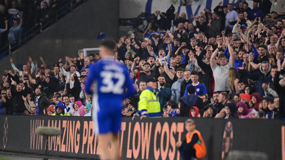 Cardiff City supporters