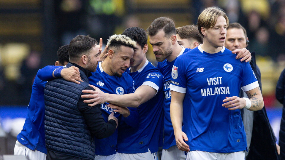 Cardiff City players