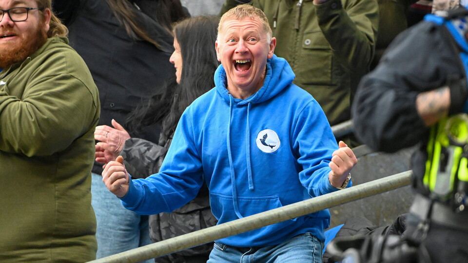 Cardiff City supporters