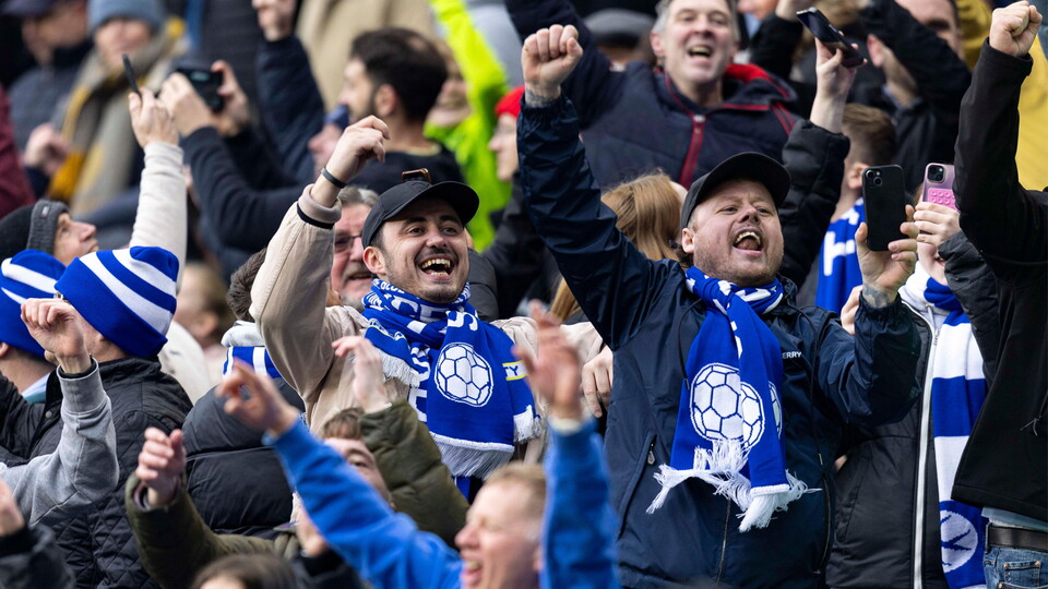 Cardiff City supporters