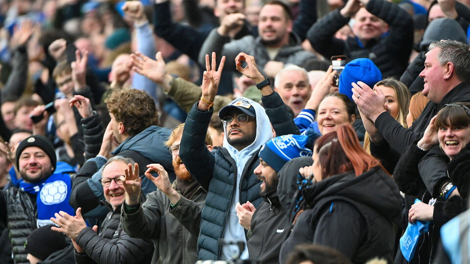 Cardiff City supporters