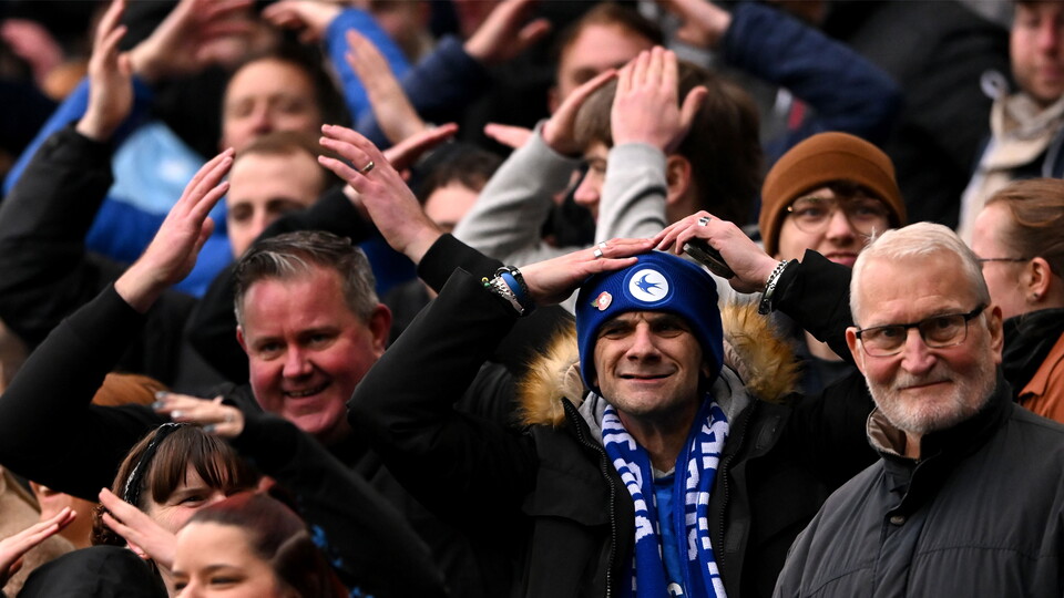 Cardiff City supporters