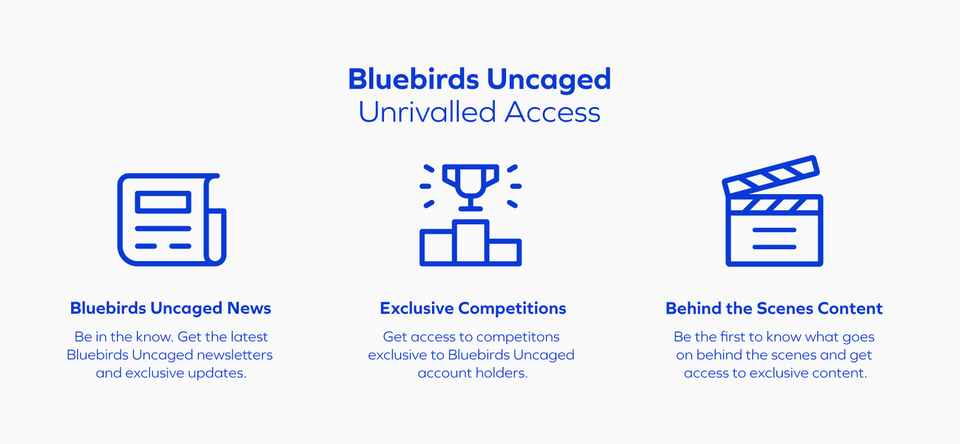 Bluebirds Uncaged