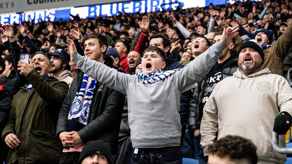 Cardiff City supporters
