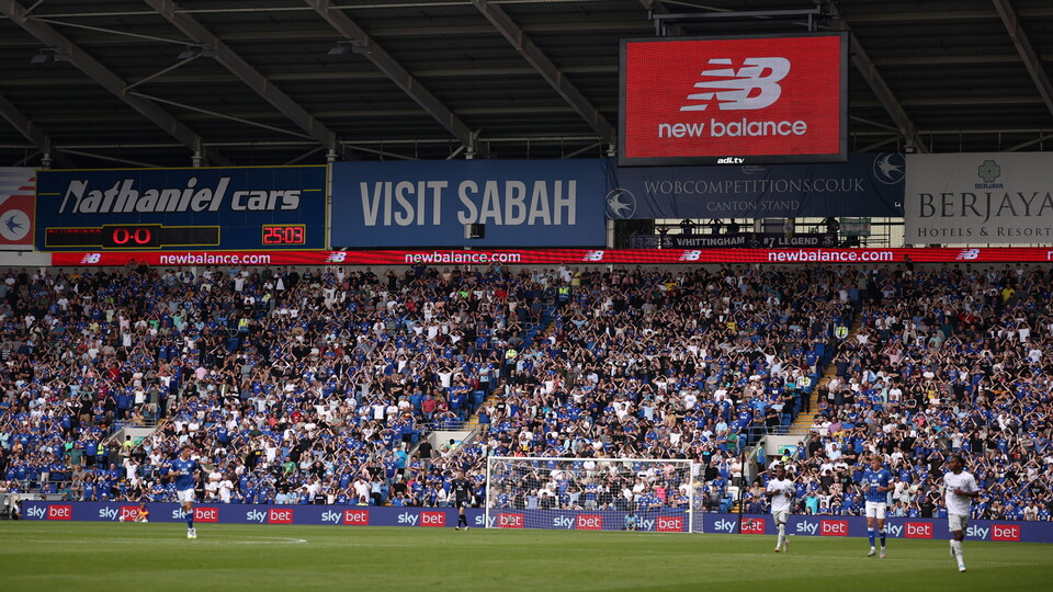 Cardiff City supporters